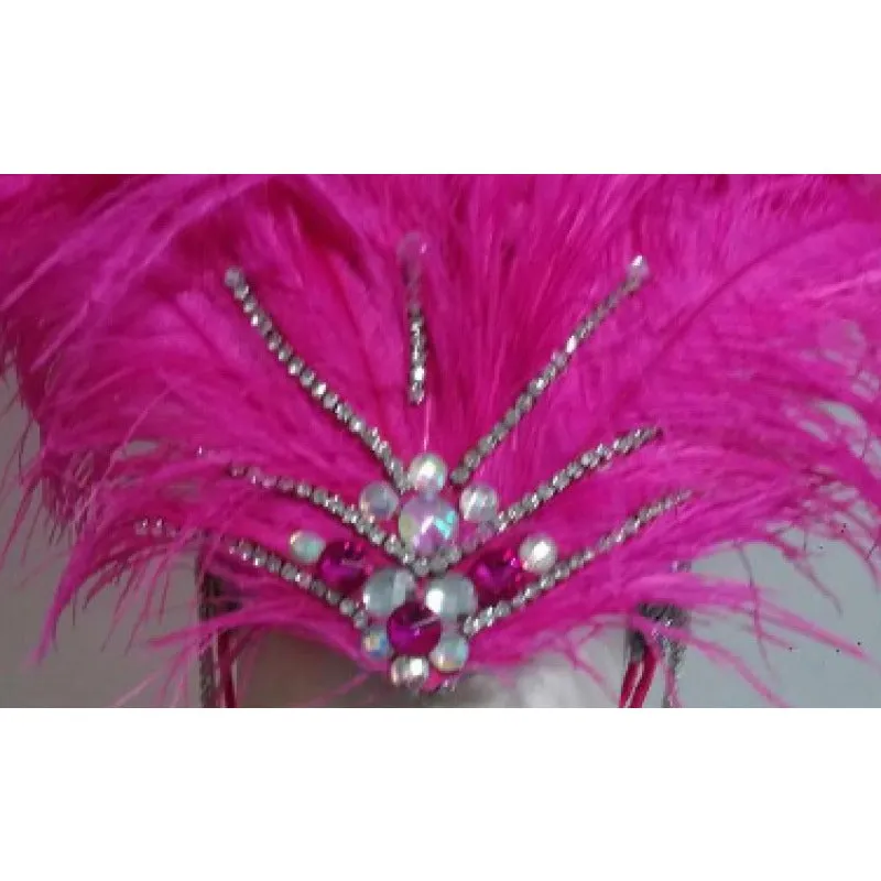 Plumes Samba Chic