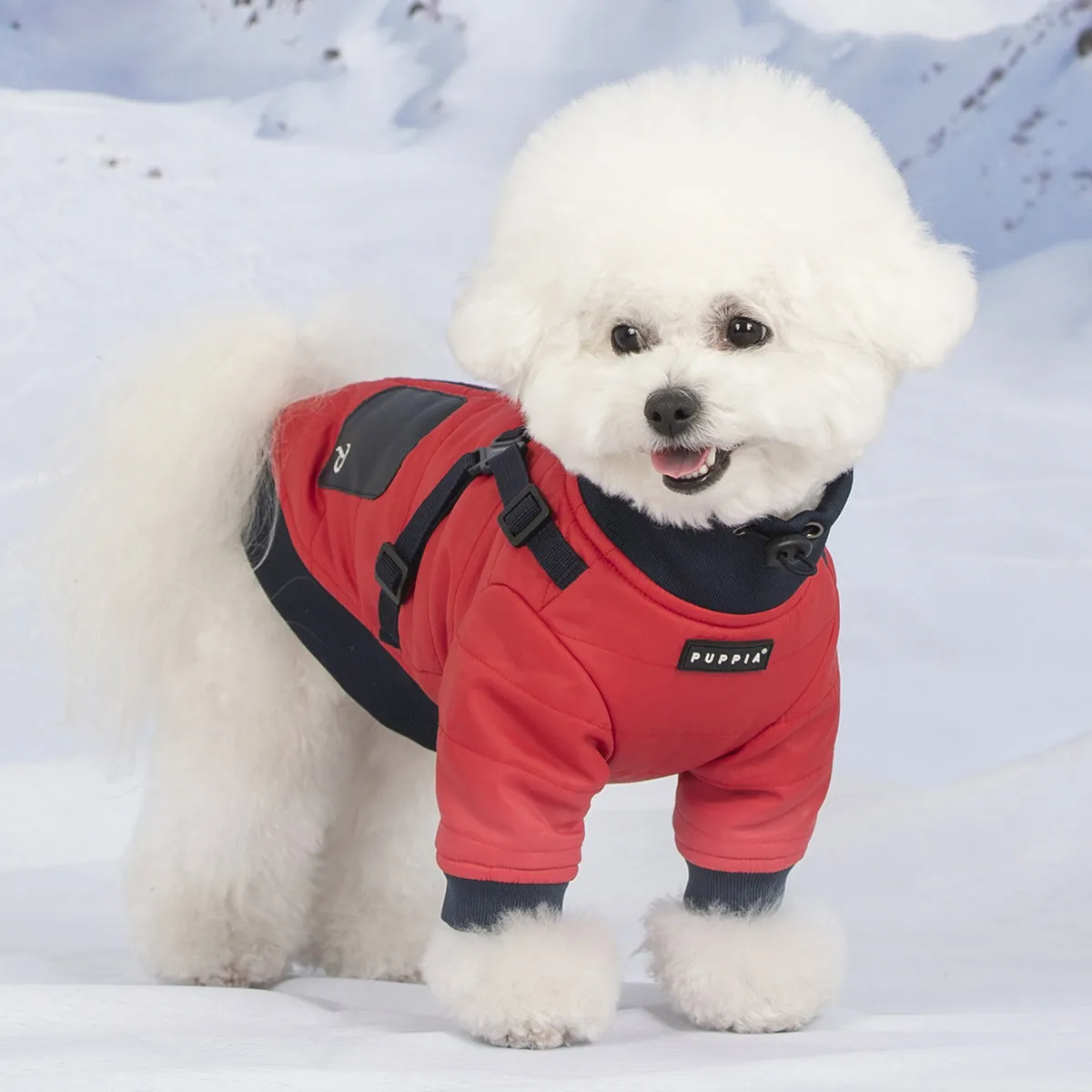 Stratus Jumper Dog Coat