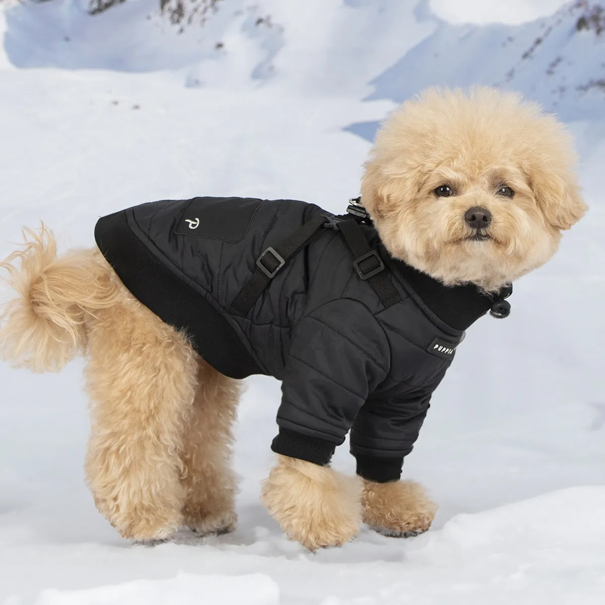 Stratus Jumper Dog Coat